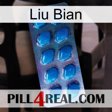 Liu Bian viagra1